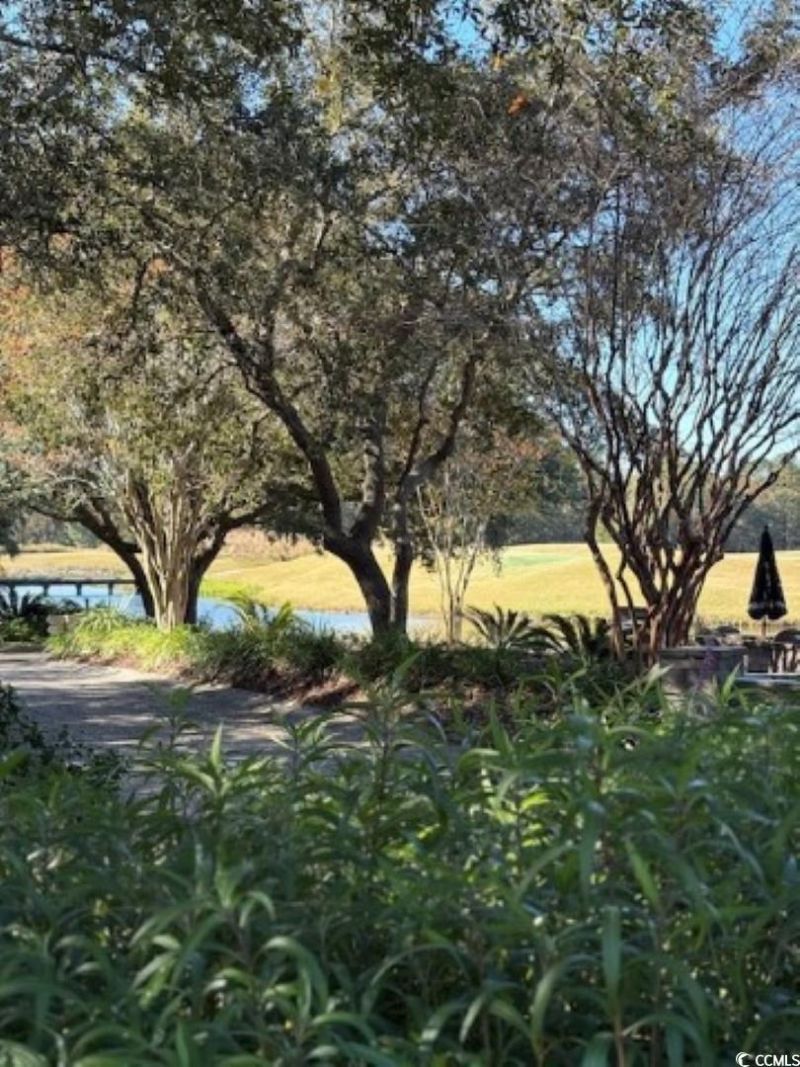 5650 Barefoot Resort Bridge Rd. Photo 38