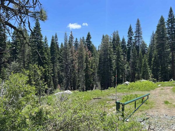 51460 Red Fir Drive, Soda Springs, CA 95728