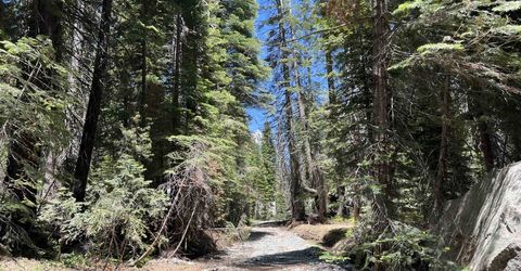 51460 Red Fir Drive, Soda Springs, CA 95728 Photo