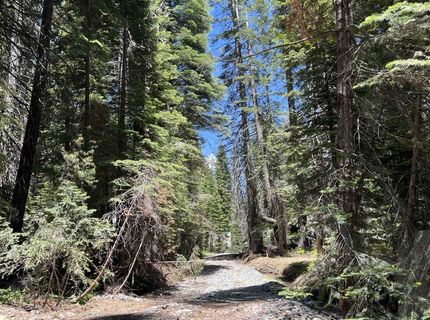 51460 Red Fir Drive, Soda Springs, CA 95728 Photo