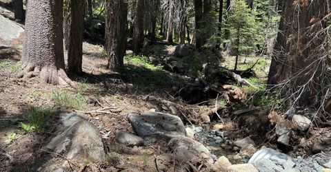 51460 Red Fir Drive, Soda Springs, CA 95728 Photo