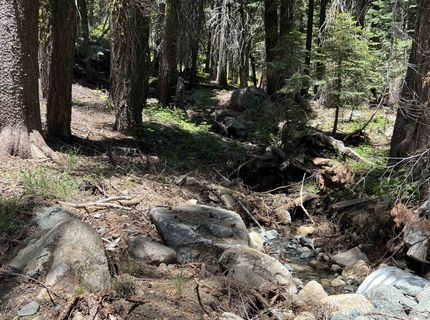 51460 Red Fir Drive, Soda Springs, CA 95728 Photo