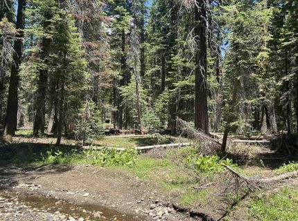 51460 Red Fir Drive, Soda Springs, CA 95728 Photo