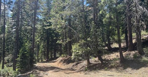 51460 Red Fir Drive, Soda Springs, CA 95728 Photo