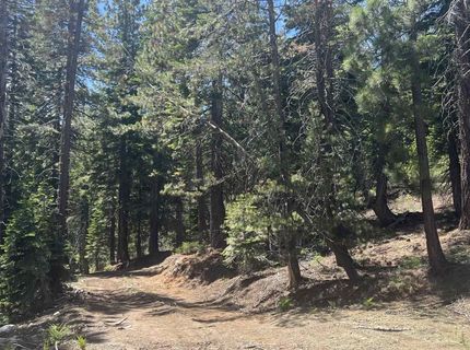 51460 Red Fir Drive, Soda Springs, CA 95728 Photo
