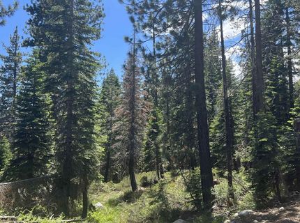 51460 Red Fir Drive, Soda Springs, CA 95728 Photo