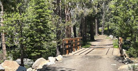 51460 Red Fir Drive, Soda Springs, CA 95728 Photo