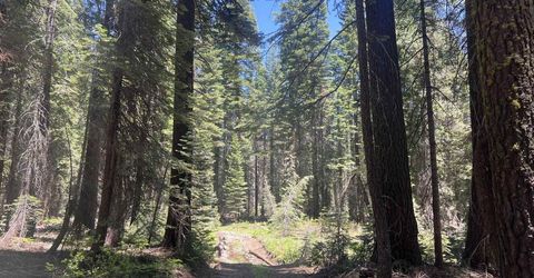 51460 Red Fir Drive, Soda Springs, CA 95728 Photo