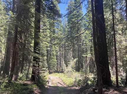 51460 Red Fir Drive, Soda Springs, CA 95728 Photo