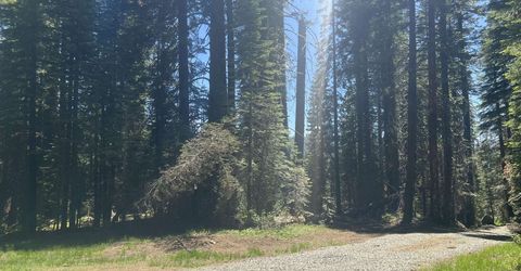 51460 Red Fir Drive, Soda Springs, CA 95728 Photo