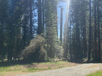 51460 Red Fir Drive, Soda Springs, CA 95728 Photo