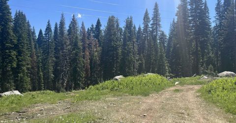 51460 Red Fir Drive, Soda Springs, CA 95728 Photo