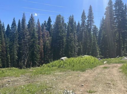 51460 Red Fir Drive, Soda Springs, CA 95728 Photo