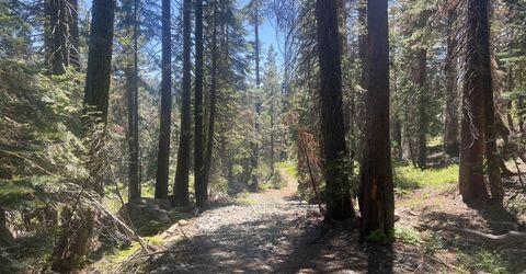 51460 Red Fir Drive, Soda Springs, CA 95728 Photo