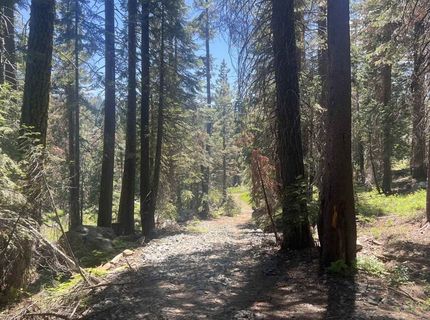 51460 Red Fir Drive, Soda Springs, CA 95728 Photo