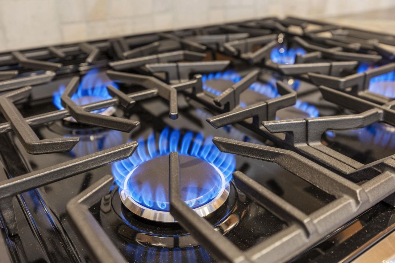 1448 Tiger Grand Dr. Photo 16