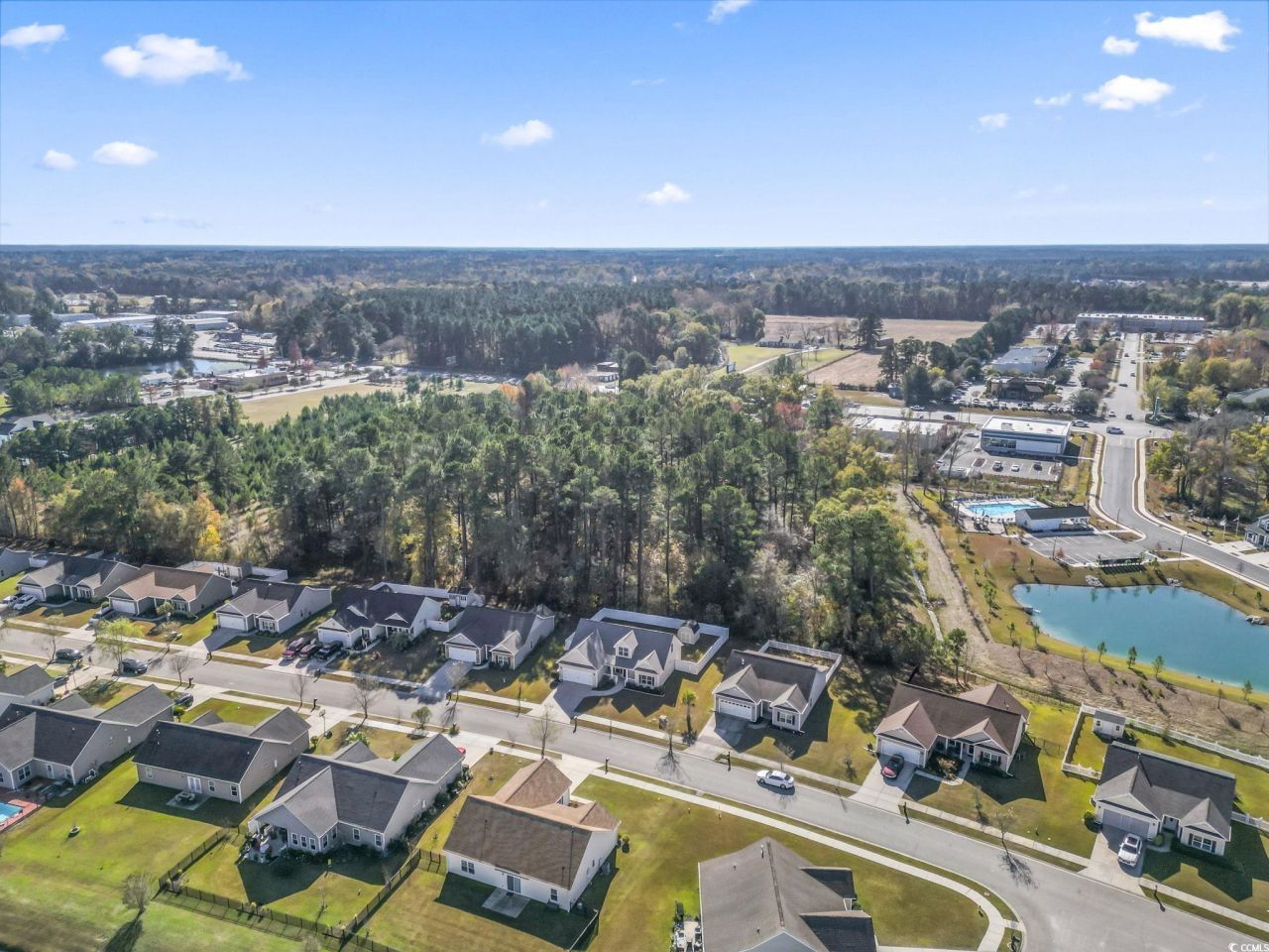 1448 Tiger Grand Dr. Photo 39