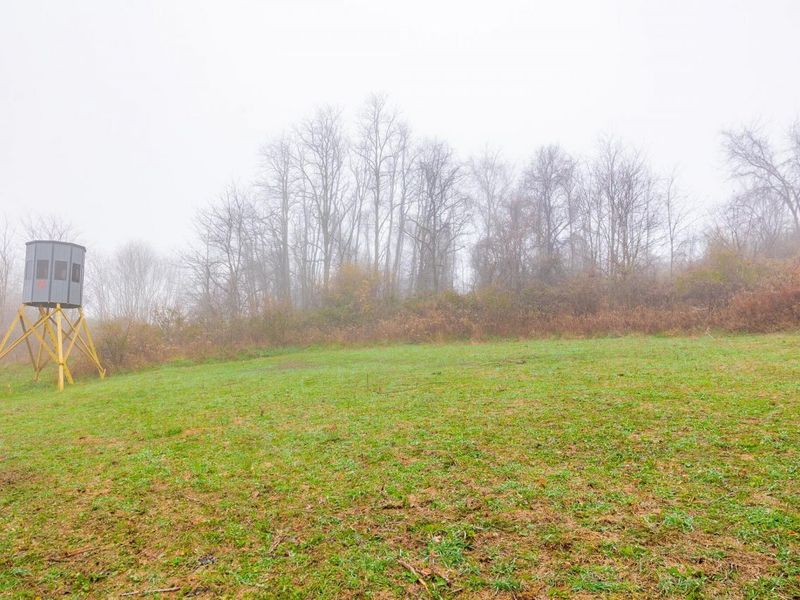 153 County Road 3 , Rayland, OH 43943 Photo 10