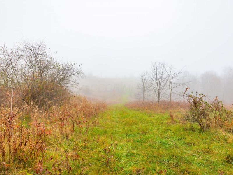 153 County Road 3 , Rayland, OH 43943 Photo 11