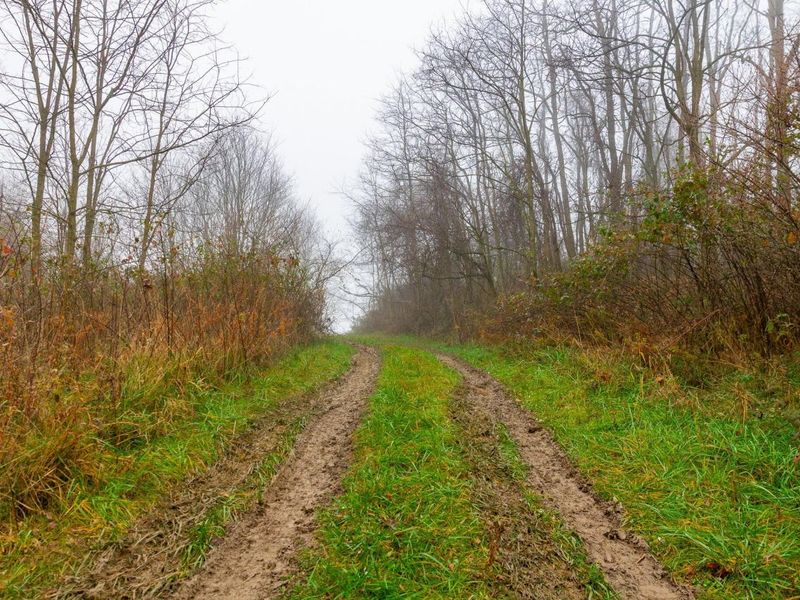 153 County Road 3 , Rayland, OH 43943 Photo 12