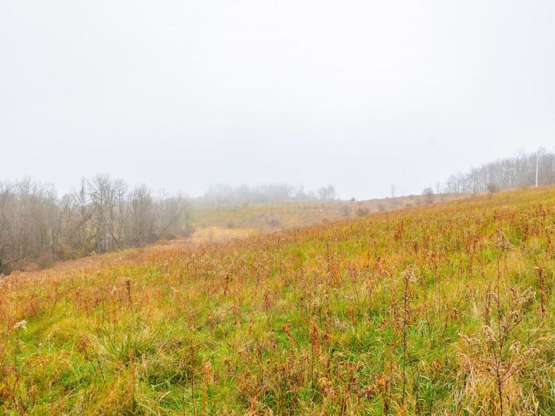 153 County Road 3 , Rayland, OH 43943 Photo 18