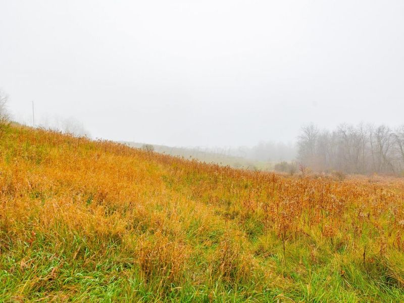 153 County Road 3 , Rayland, OH 43943 Photo 19