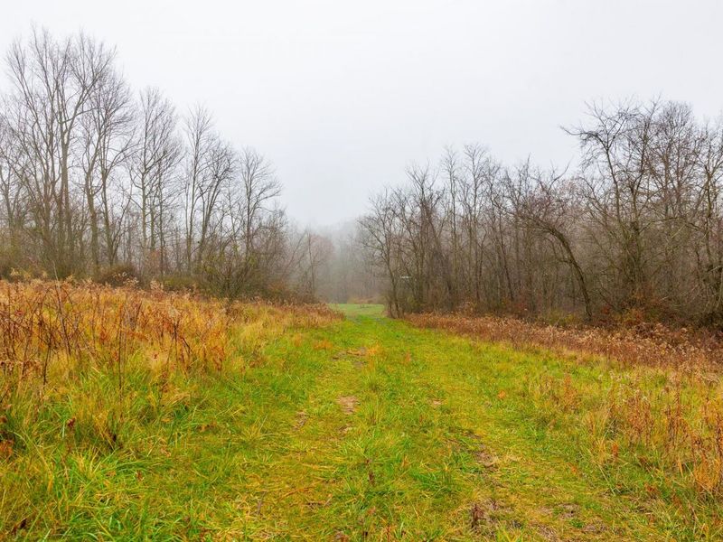 153 County Road 3 , Rayland, OH 43943 Photo 20