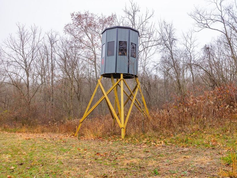 153 County Road 3 , Rayland, OH 43943 Photo 23