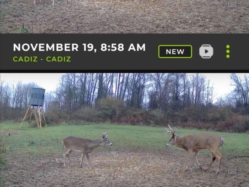 153 County Road 3 , Rayland, OH 43943 Photo 24