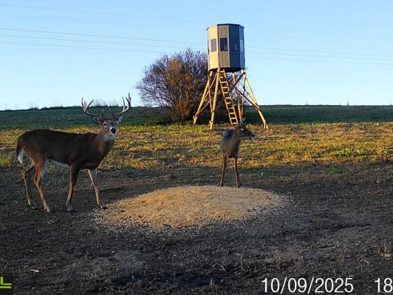153 County Road 3 , Rayland, OH 43943 Photo 29