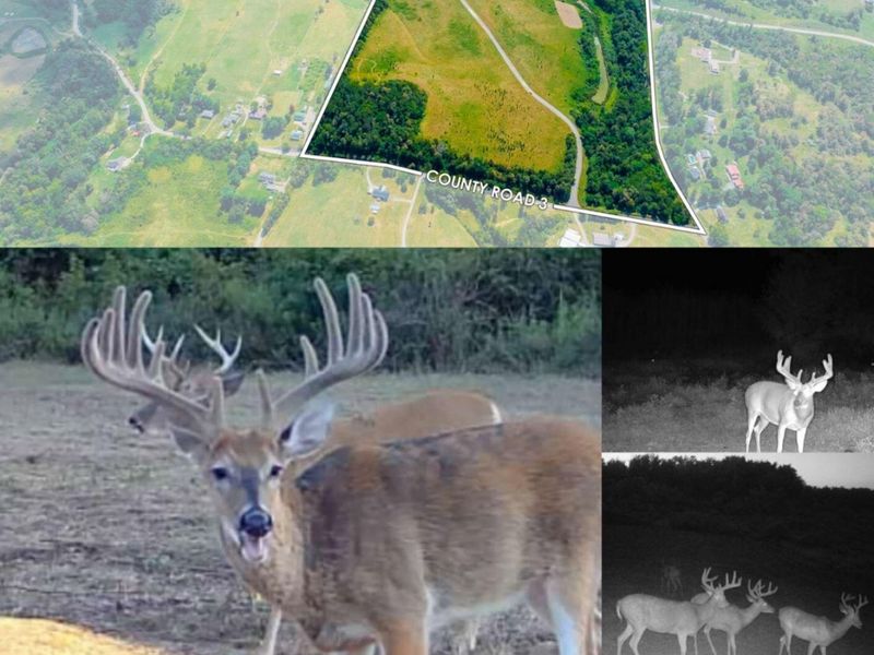 153 County Road 3 , Rayland, OH 43943 Photo 3