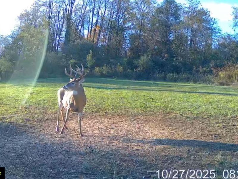 153 County Road 3 , Rayland, OH 43943 Photo 31