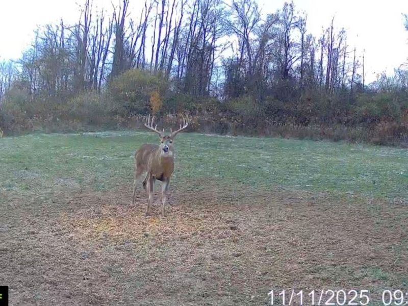 153 County Road 3 , Rayland, OH 43943 Photo 32