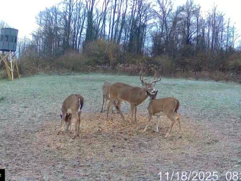 153 County Road 3 , Rayland, OH 43943 Photo 33