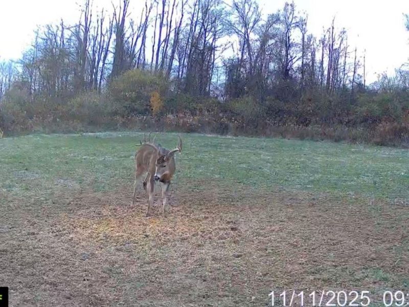 153 County Road 3 , Rayland, OH 43943 Photo 34