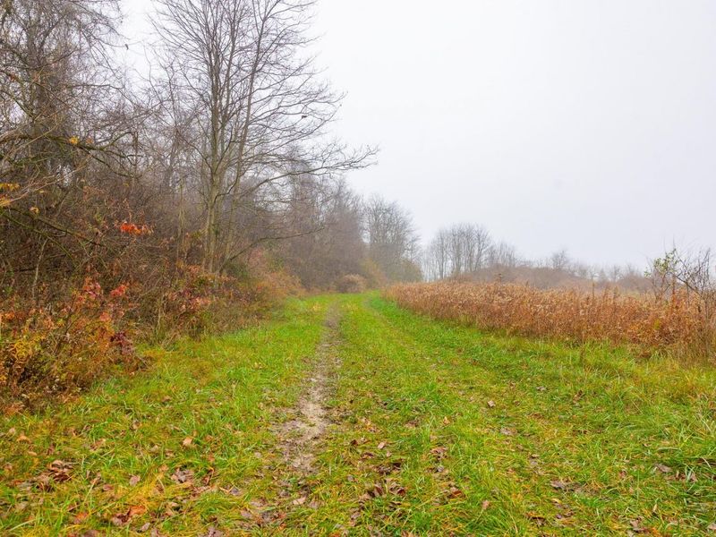 153 County Road 3 , Rayland, OH 43943 Photo 4