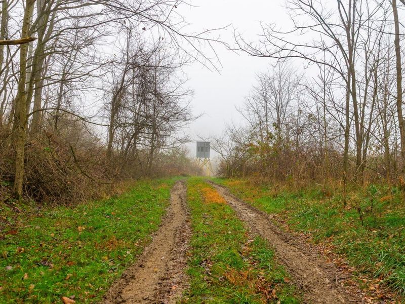 153 County Road 3 , Rayland, OH 43943 Photo 5