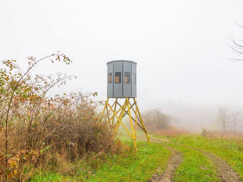 153 County Road 3 , Rayland, OH 43943 Photo 6