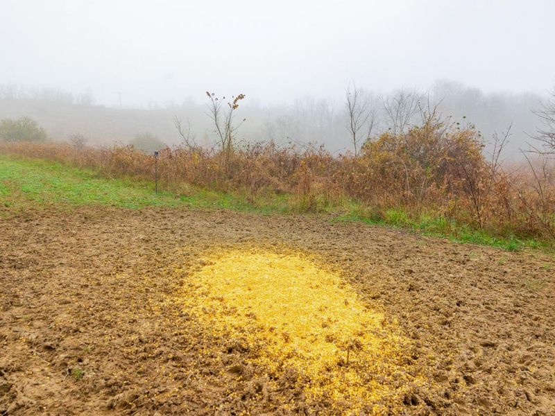 153 County Road 3 , Rayland, OH 43943 Photo 8