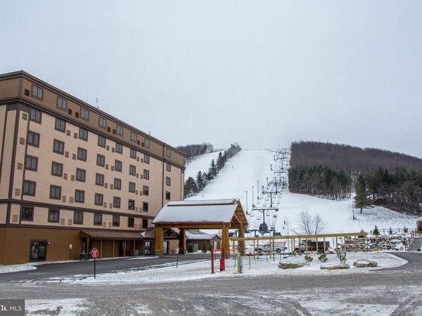 290 MARSH HILL ROAD, Unit 319C, MC HENRY, MD 21541