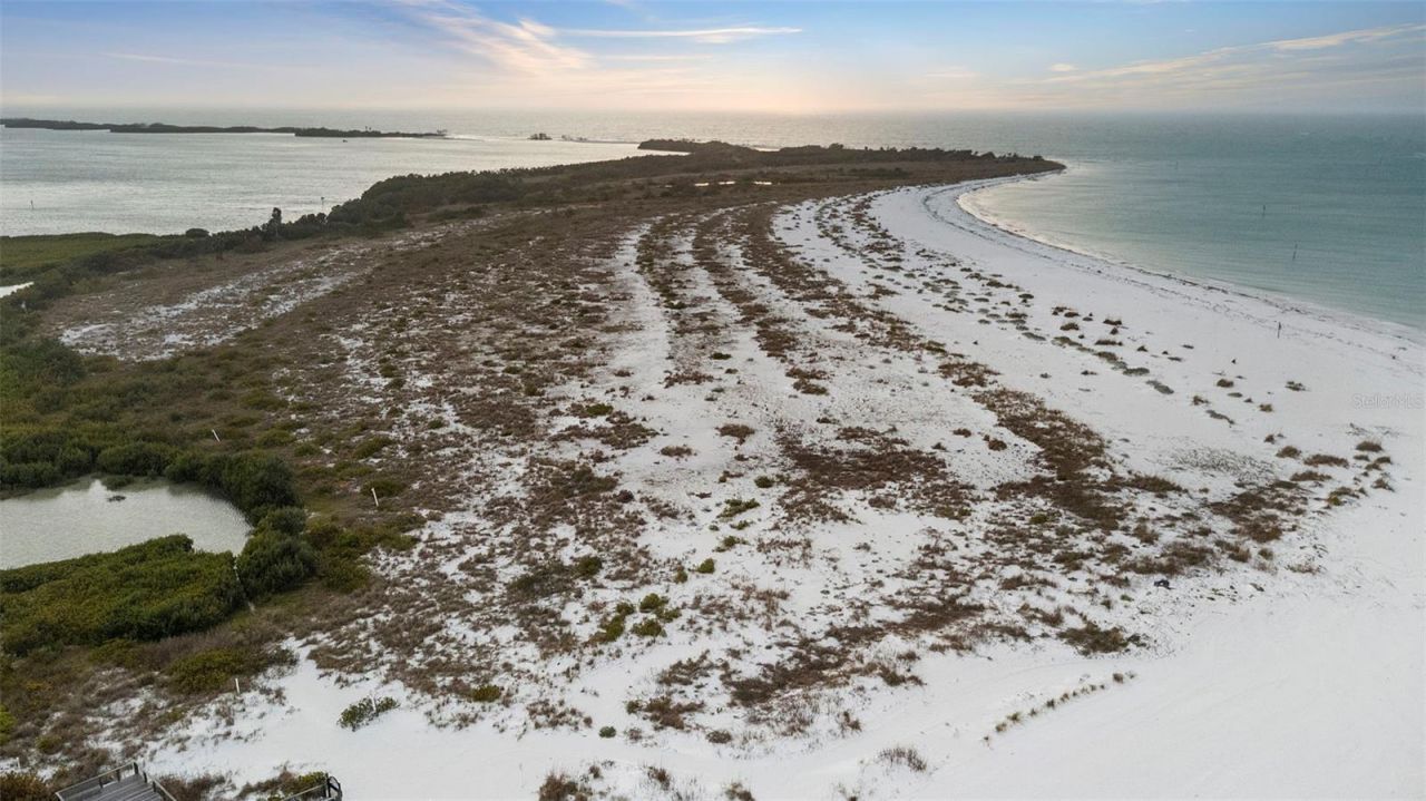 800 Collany Road, Unit 302, Saint Petersburg, FL 33715 Photo