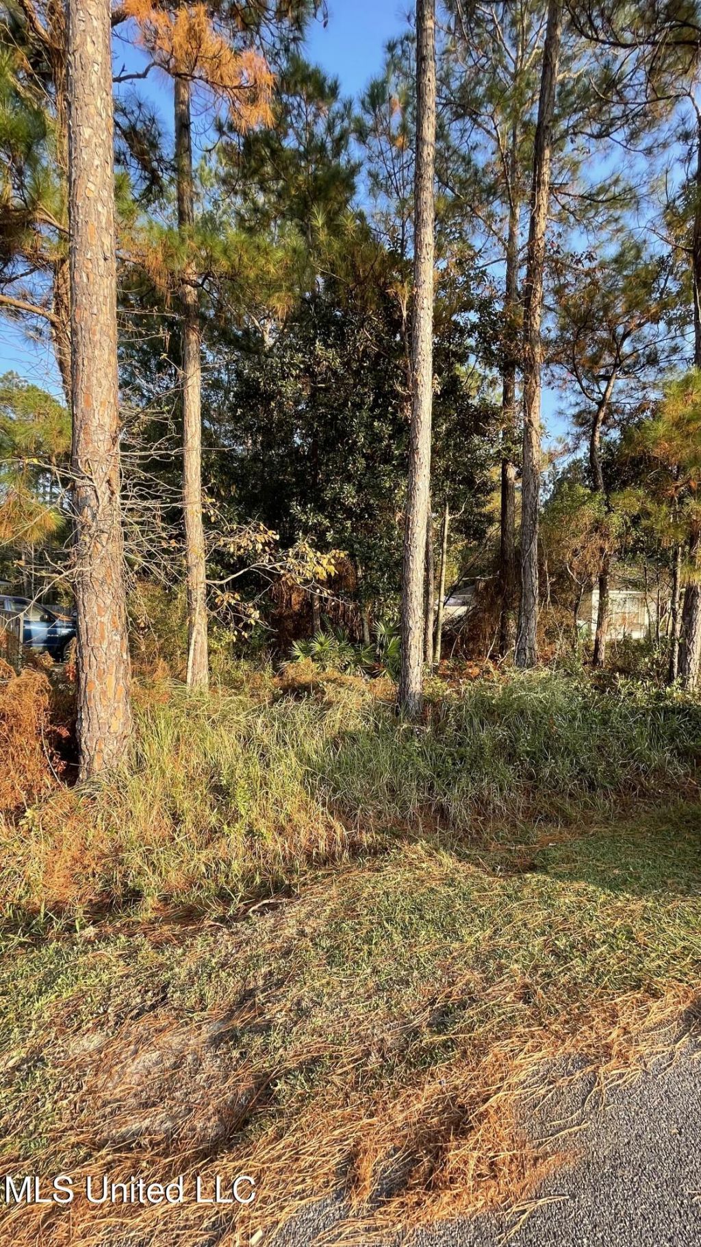 Exchange Street, Gautier, MS 39553 Main Photo