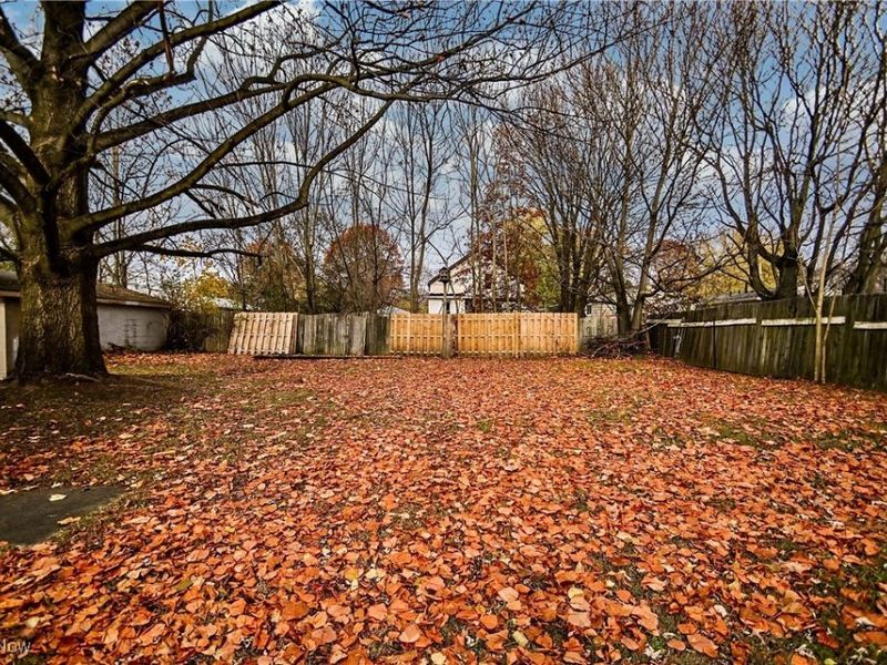 1199 Iona Avenue, Akron, OH 44314 Photo 34