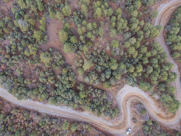 21 Estrella Vista Drive , Tijeras, NM 87059