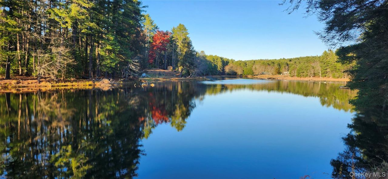 40 Beaver Brook Road, Yulan, NY 12792 Main Photo