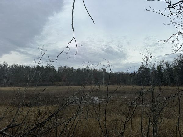 4810 Tote Road, Comins, MI 48619