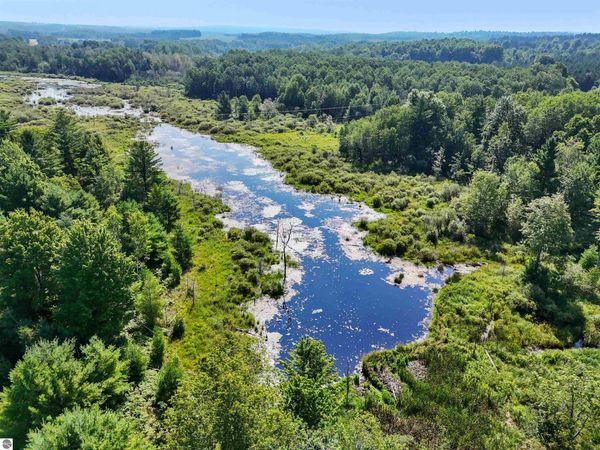 Arnold Road, Manton, MI 49663