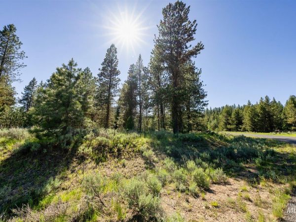 110 Fawnlilly Dr, McCall, ID 83638