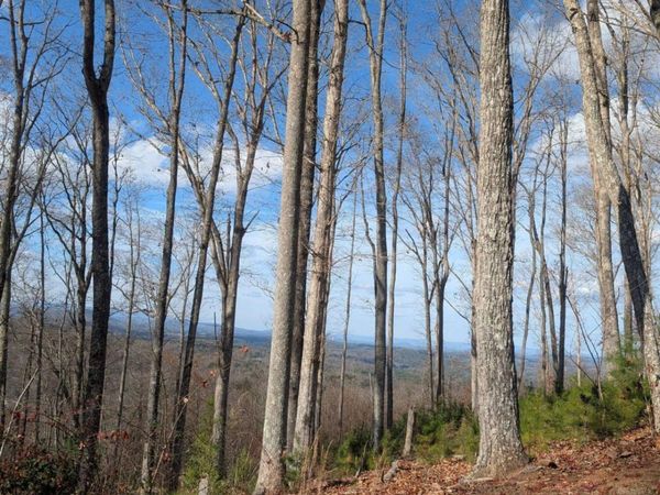 LOT 91 Winding Ridge, Blairsville, GA 30512