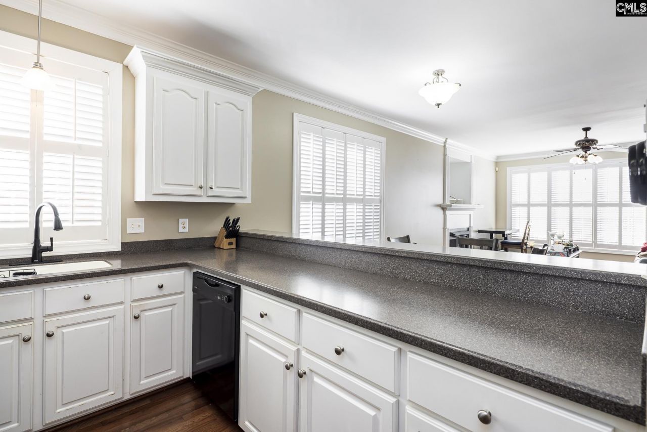 151 Long Iron Court Photo 16